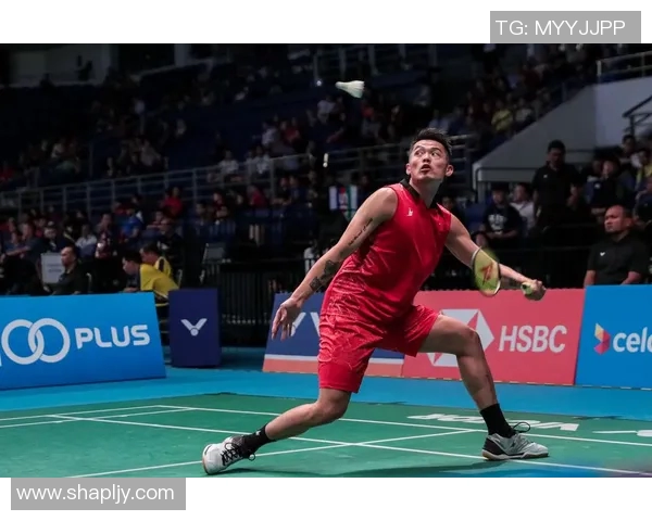 林丹对决背后的羽毛球巅峰之路与竞技精神探讨