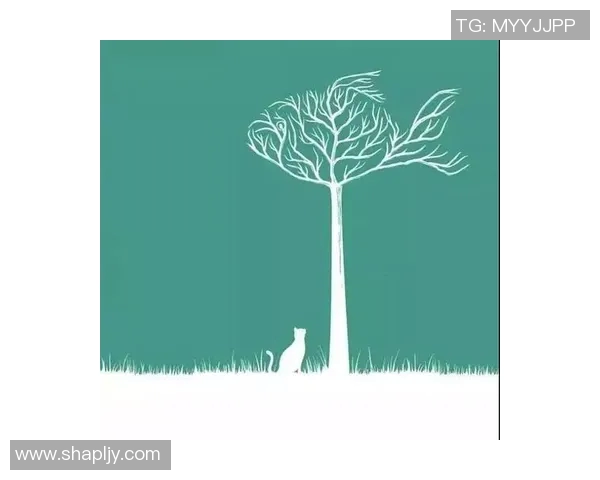 篮球明星男的朋友圈背景图设计灵感分享让你的社交媒体更具个性魅力