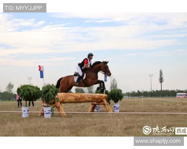 掌握马术比赛速度控制技巧助力赛道优势提升的策略分析
